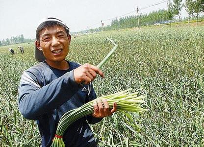 蒜你狠主要受什么因素影响,蒜你狠历史事件原因