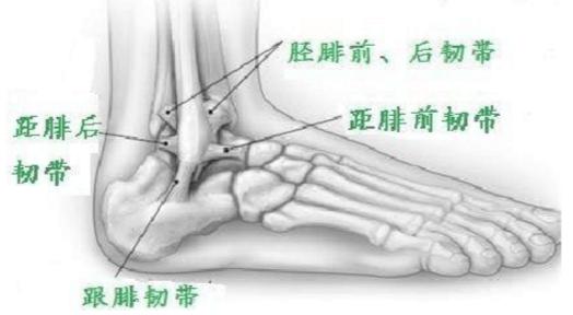 脚踝上下受限恢复训练动作,脚踝强化训练远离脚踝受伤