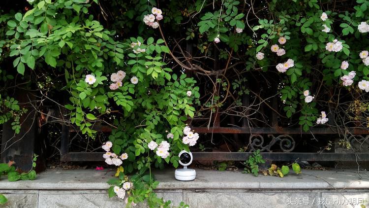 科技便利,科技生活便捷服务