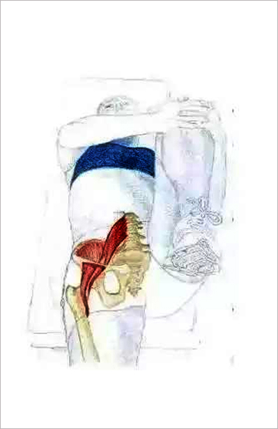 办公室腰背肌锻炼方法,一招解决办公室腰酸背痛