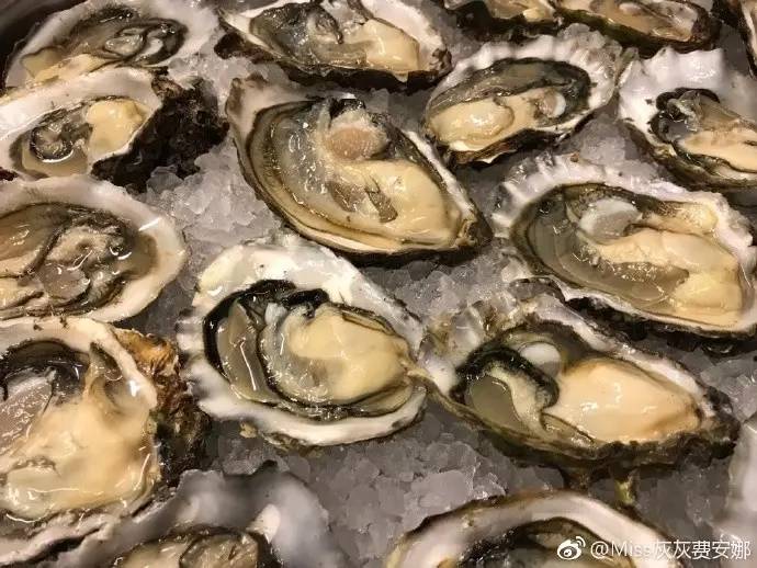 丹麦生蚝之旅,吃货到海边吃生海鲜