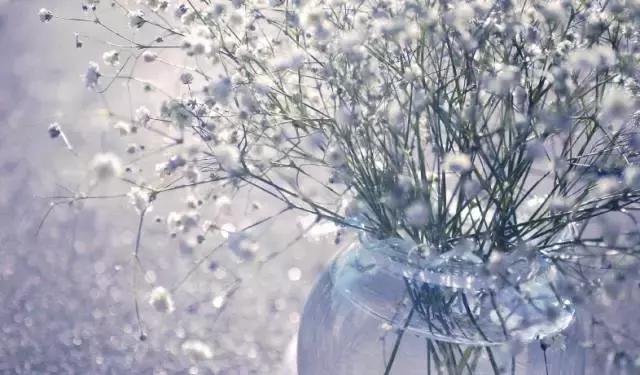 警惕慢性结肠炎带来的危害,慢性结肠炎对眼睛有什么危害吗