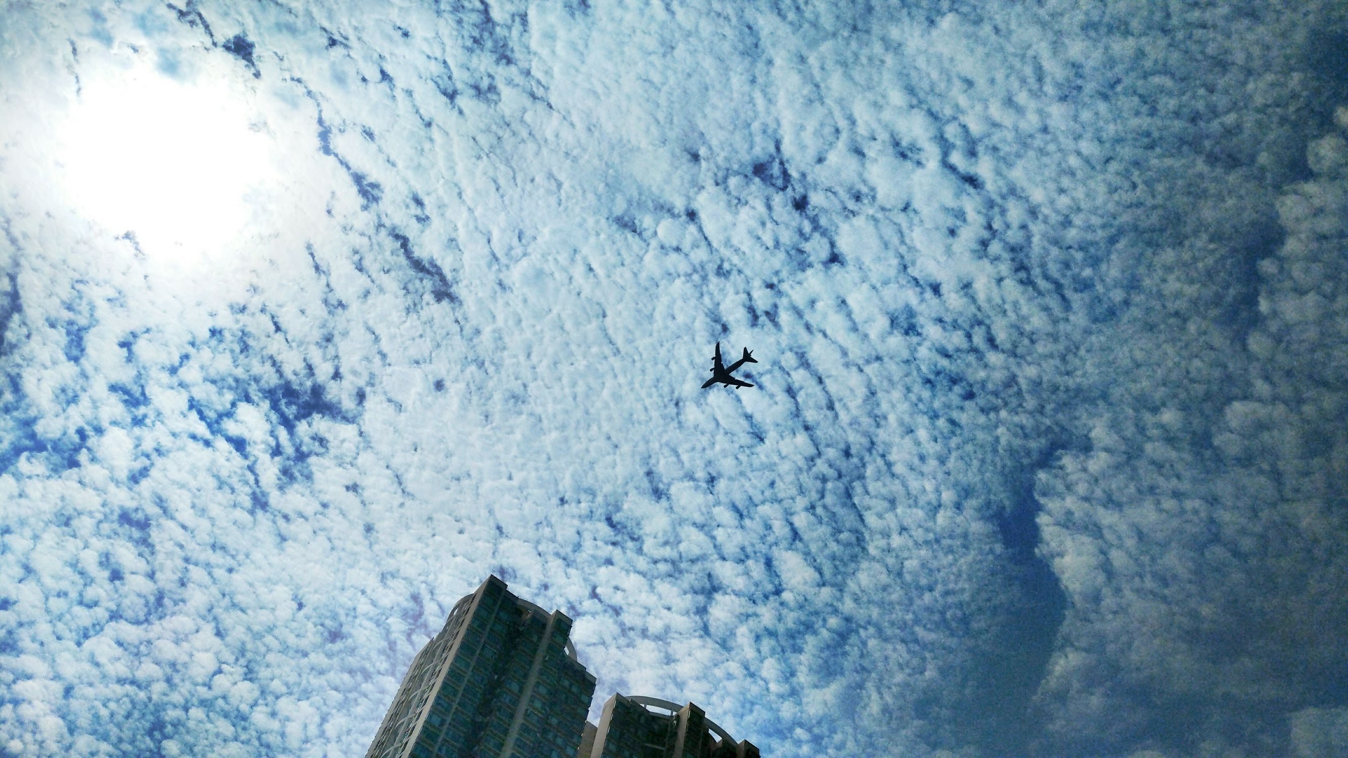 香港旅游攻略自由行详细最近,香港自由行旅行攻略