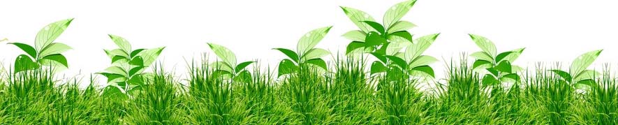 诗情画意新的一年新的开始,诗情画意字里行间醉人心扉