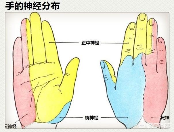 单纯的手指尖麻木是什么病兆,七种疾病早期症状