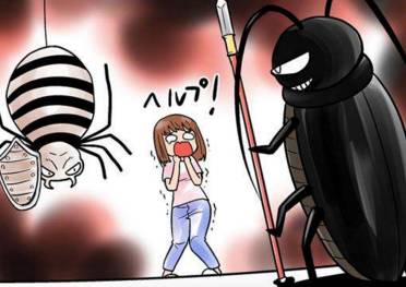 对付小强最有效方法,家庭消灭小强妙招