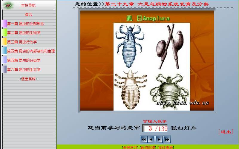 学习昆虫知识的网站,免费学习有趣的昆虫知识