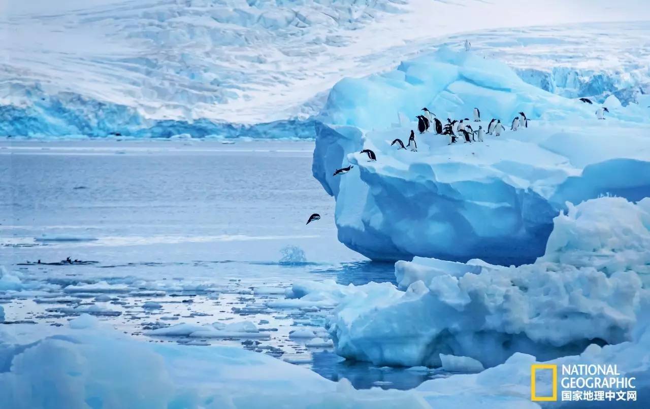 2022国家地理全球摄影大赛投稿,2016美国国家地理杂志摄影大赛