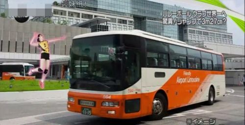 看看睡吧丨明日下午鲁能全队集结备战张剑当选国际足联理事