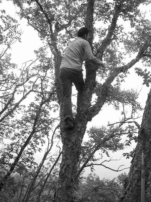 中国科学院青藏高原研究所级别,中科院青藏高原研究基地