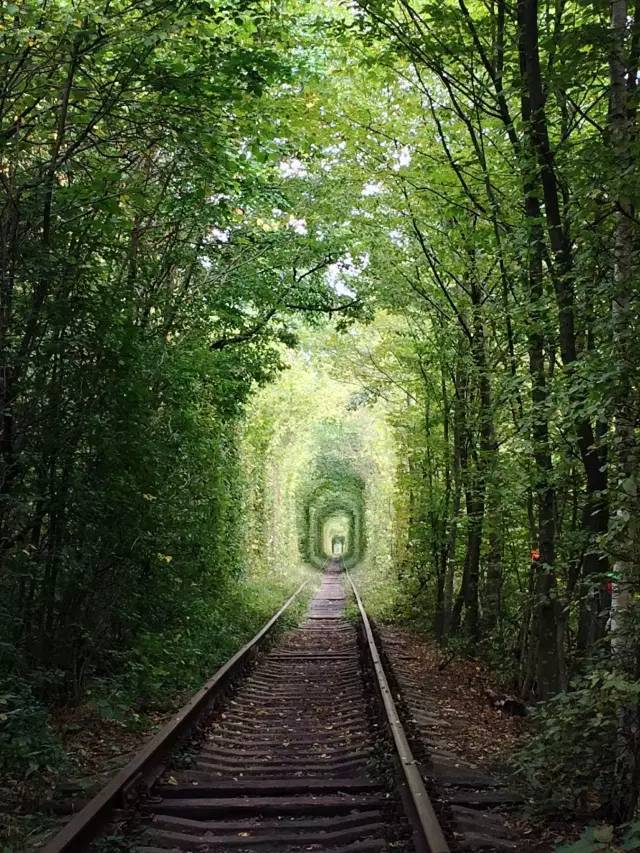 难以置信最后怎么样了,难以置信的一件事