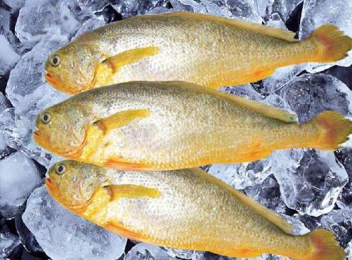 哈尔滨吃货，这8种你爱吃的海鲜全面禁售，活的冰鲜的统统不能卖