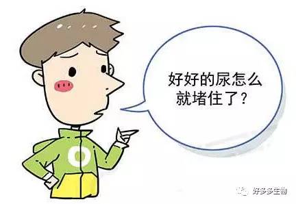 肾积水——尿都堵了，肾怎么能好