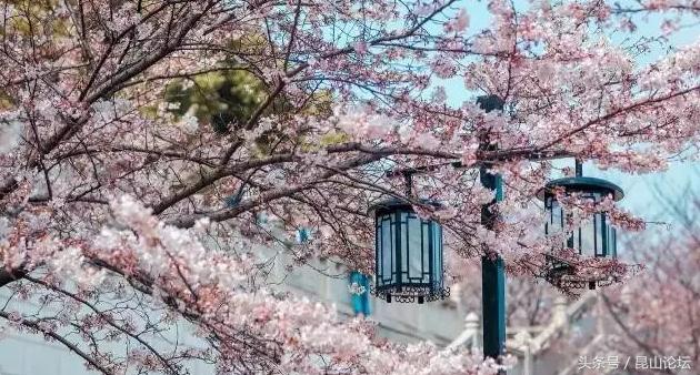 直戳心窝！打死也离不开昆山的30个理由，看了哪也不想去了