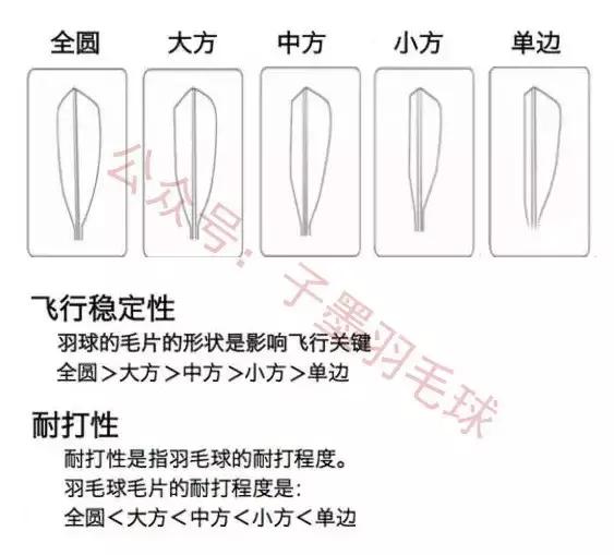 从羽毛球入门到摄影精通,从入门到进阶的羽毛球拍子