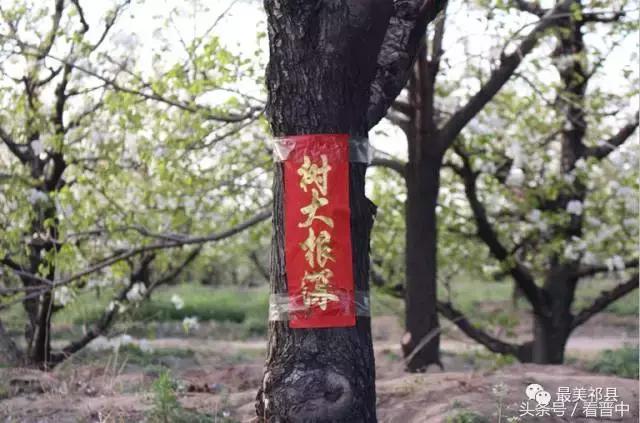 祁县三个村,祁县所有村名单