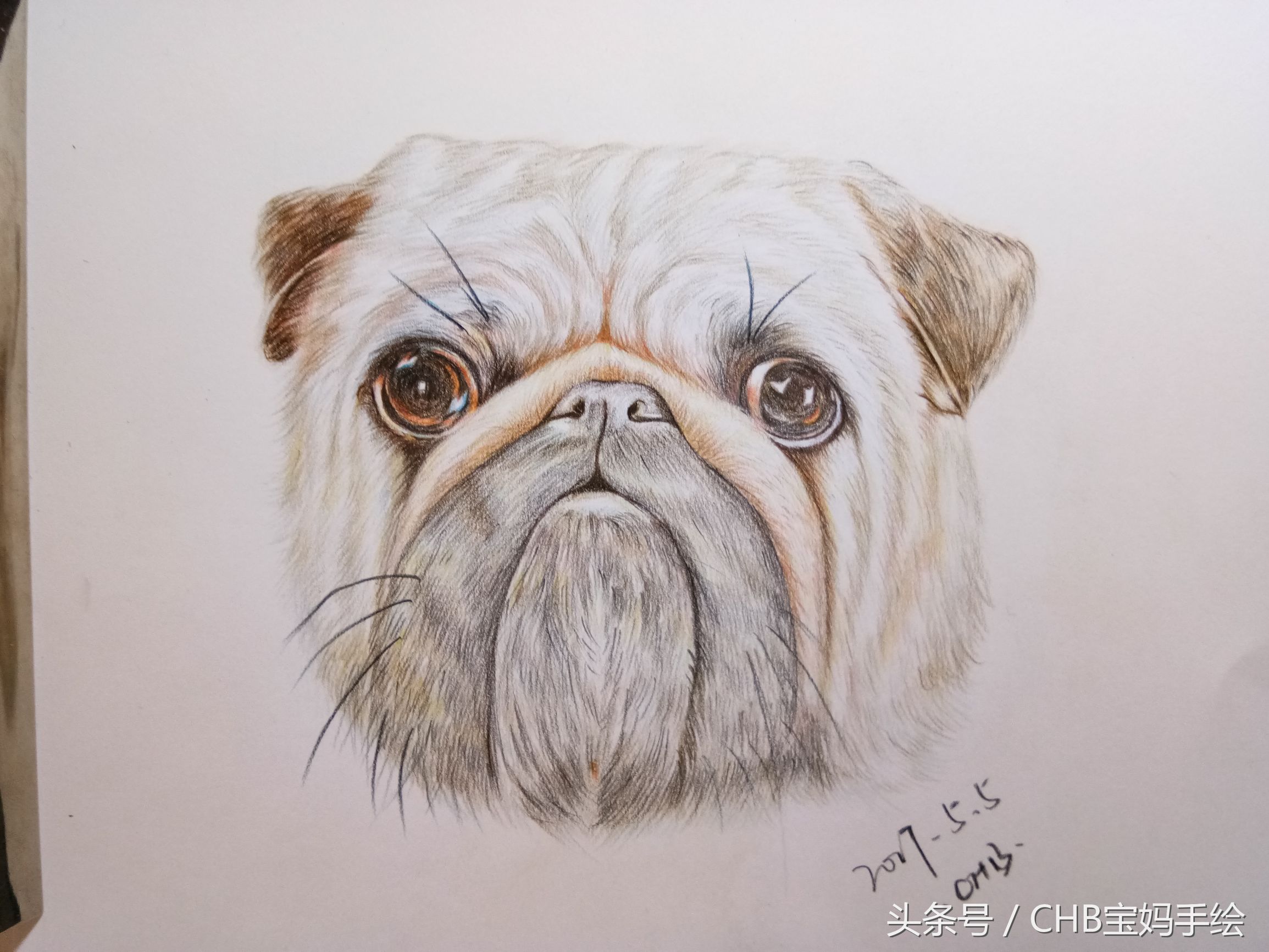 零基础学画漫画萌少女彩铅,如何学彩铅画狗