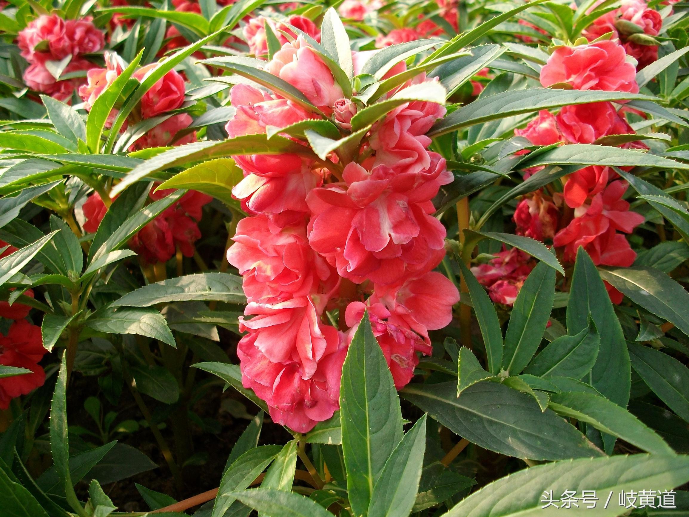 女子手撕倒刺后续,女子手撕倒刺进了医院