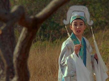 东成西就刘镇伟王家卫,王家卫东邪西毒刘镇伟