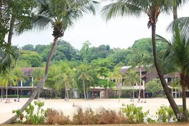 新加坡必备攻略,新加坡全程地铁游玩