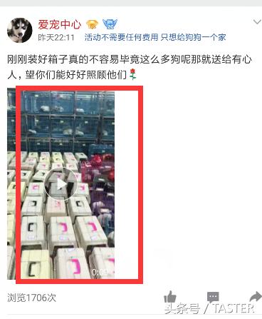 转发说说送小狗?集赞30送樱桃?又到夏天这群*子骗**又来了!