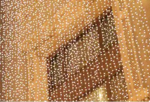 相机固件升级后非原厂镜头能用吗,相机要升级最新固件吗