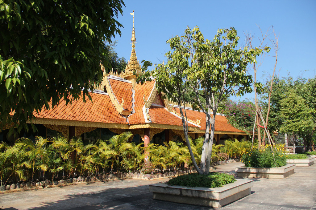 西双版纳绿色美景视频,云南西双版纳美景高清图片