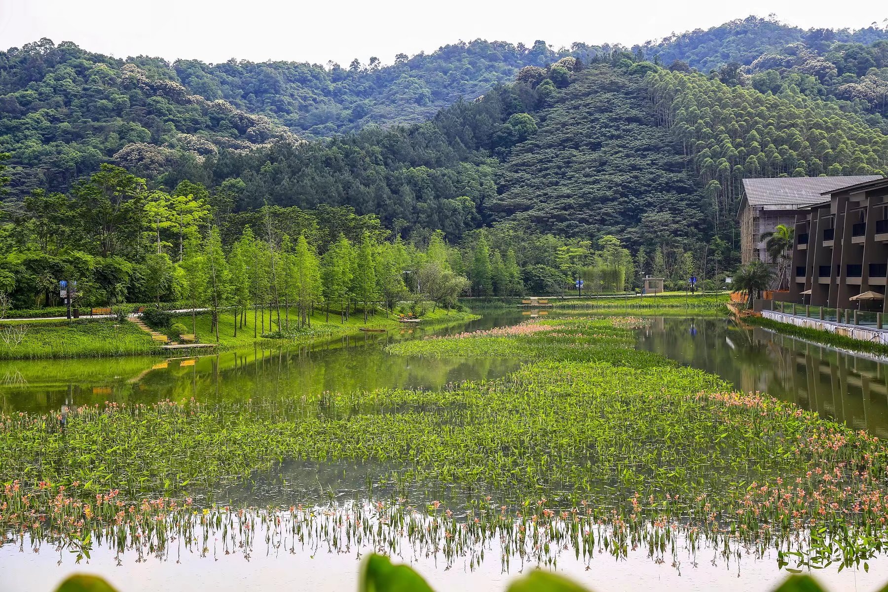 这样的休闲度假方式也很不错