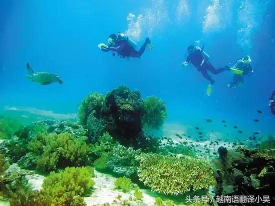 芽庄旅游攻略五天游,越南芽庄旅游攻略美食