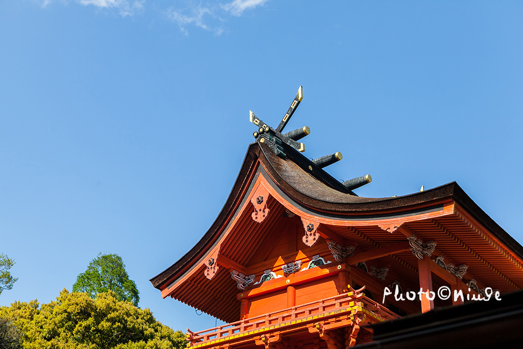 空姐在东京旅游,跟着游东京
