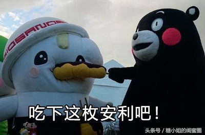 便宜实惠洋气的小棉袄,大号贴心小棉袄