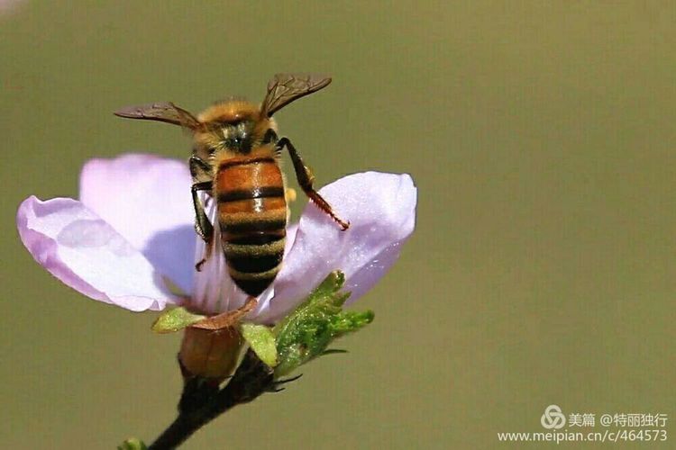走过四季夏天最美,走过春夏美丽的秋冬