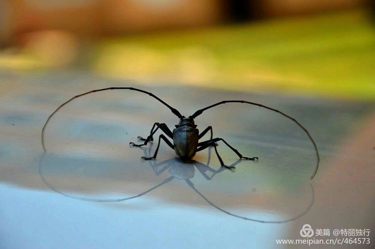 走过四季夏天最美,走过春夏美丽的秋冬