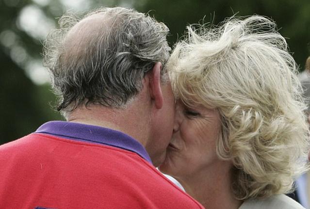 马球运动,马球赛英国王子