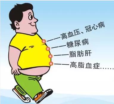 511防治肥胖日,511世界防治肥胖日宣传视频