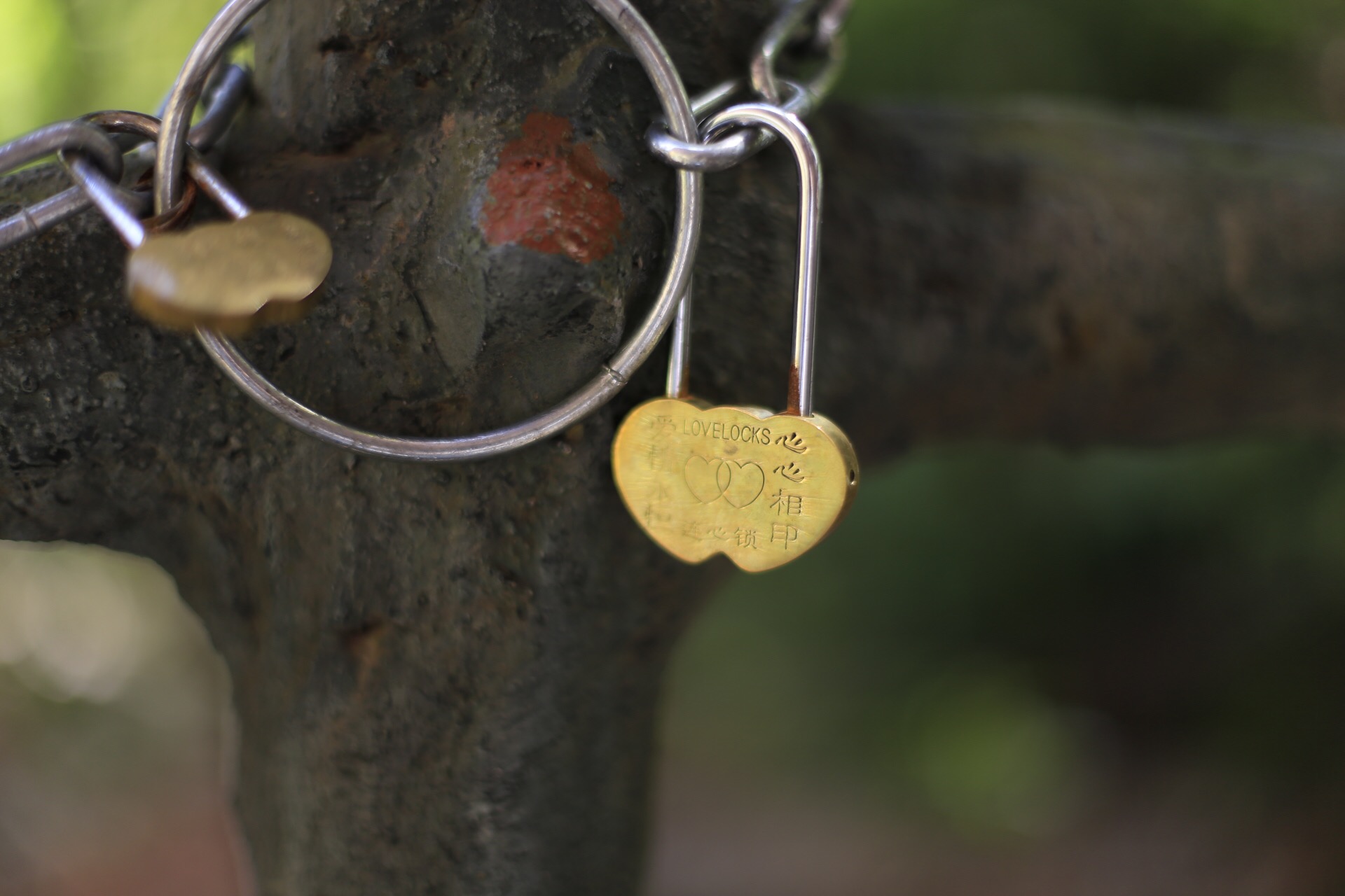 龟峰，创世之神为什么把乌龟的形象封存在这里