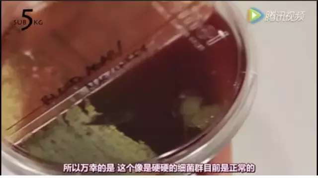 化妆刷怎么消毒,化妆刷清理教程