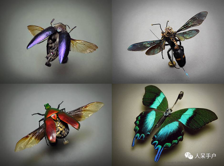 100人民币手工蝴蝶,昆虫大合集手工