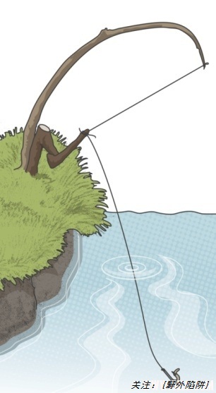 野外自动钓鱼装置,野外自制钓鱼装备全方法