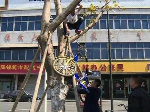 共享单车最后怎么处理了,共享单车应对措施