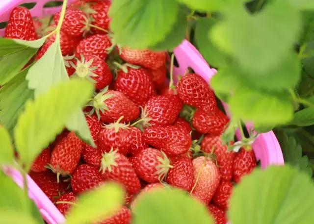 大西安·微PK｜阎良区竟然还有这么多名字你知道几个？