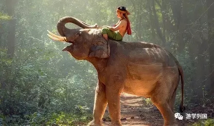 泰国旅行不一样的泰国风情,2024泰国游学之旅