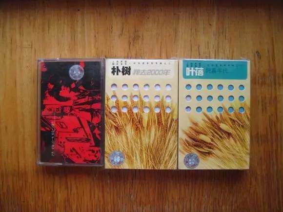 朴树全部歌曲完整版,被偷走的十二年全文