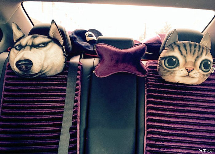 10.5代本田雅阁真实感受,人生第一辆车分享雅阁提车故事