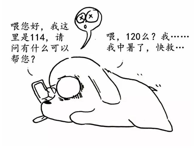 怎么让狗狗变贪吃,夏天怎么让狗毛不乱飞