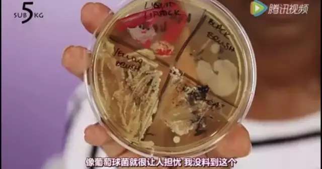 化妆刷怎么消毒,化妆刷清理教程