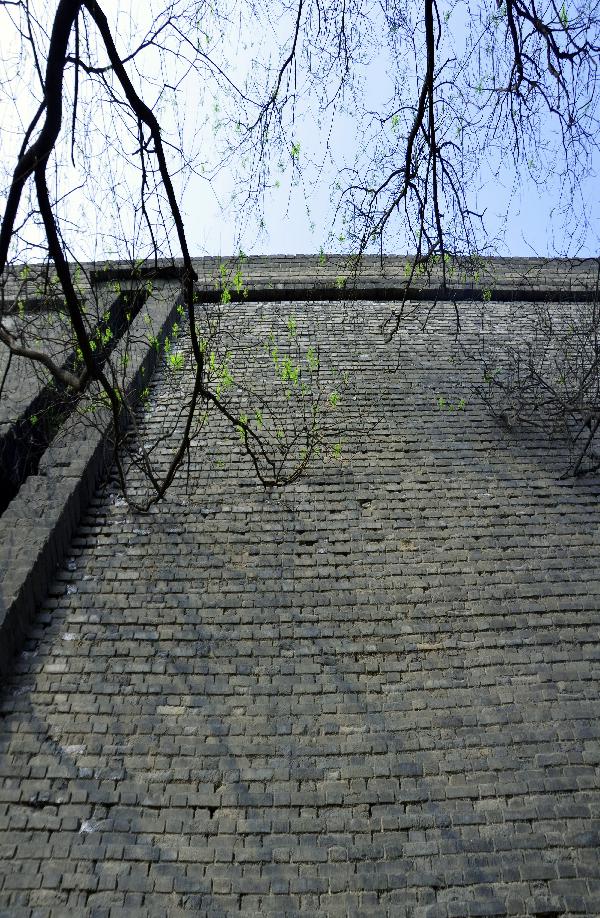 西安周末遛娃好去处推荐,西安本周末活动