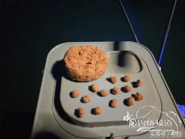 野钓日记第17期,野钓日记19天