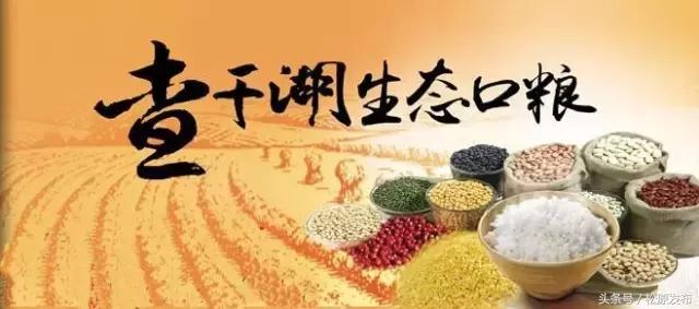 吉林松原大米好吃吗,松原市大米怎么样