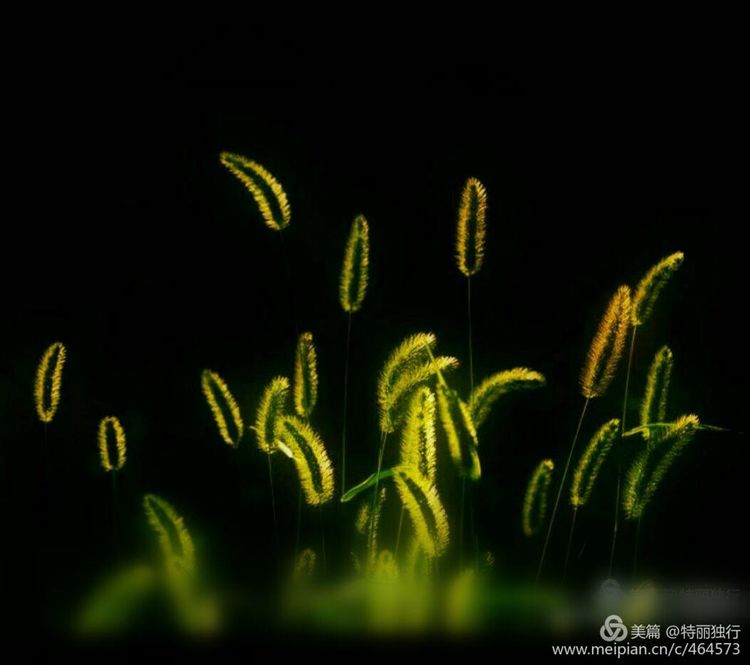 走过四季夏天最美,走过春夏美丽的秋冬